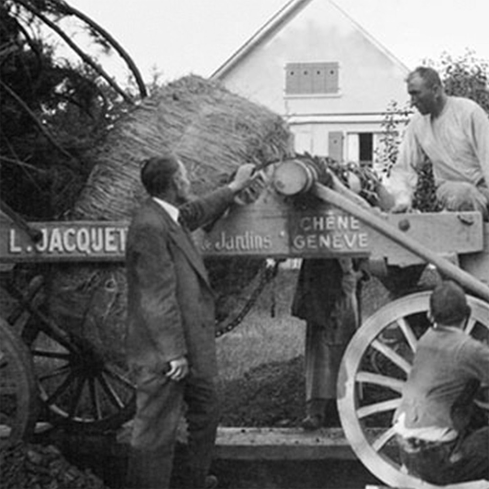 2025 - La Pépinière Jacquet - Histoire - Format carré