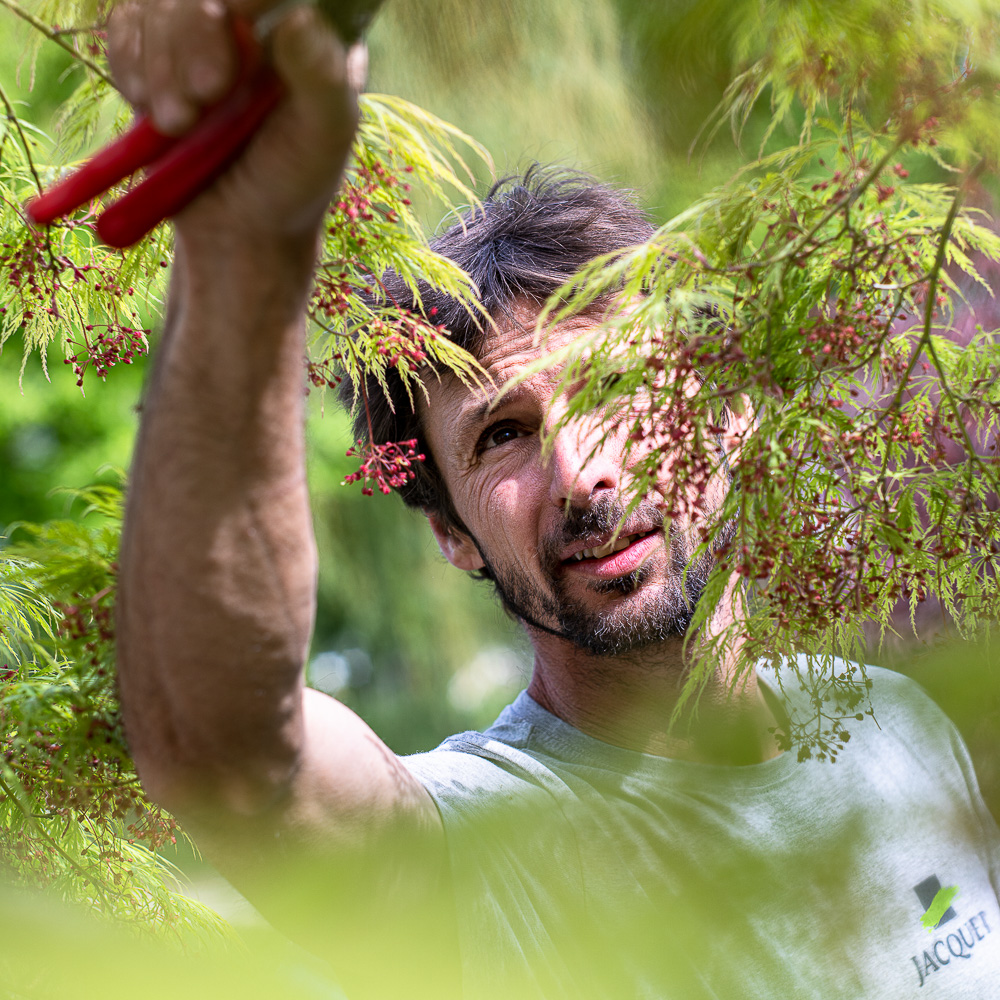 2025 - La Pépinière Jacquet - Soins aux arbres