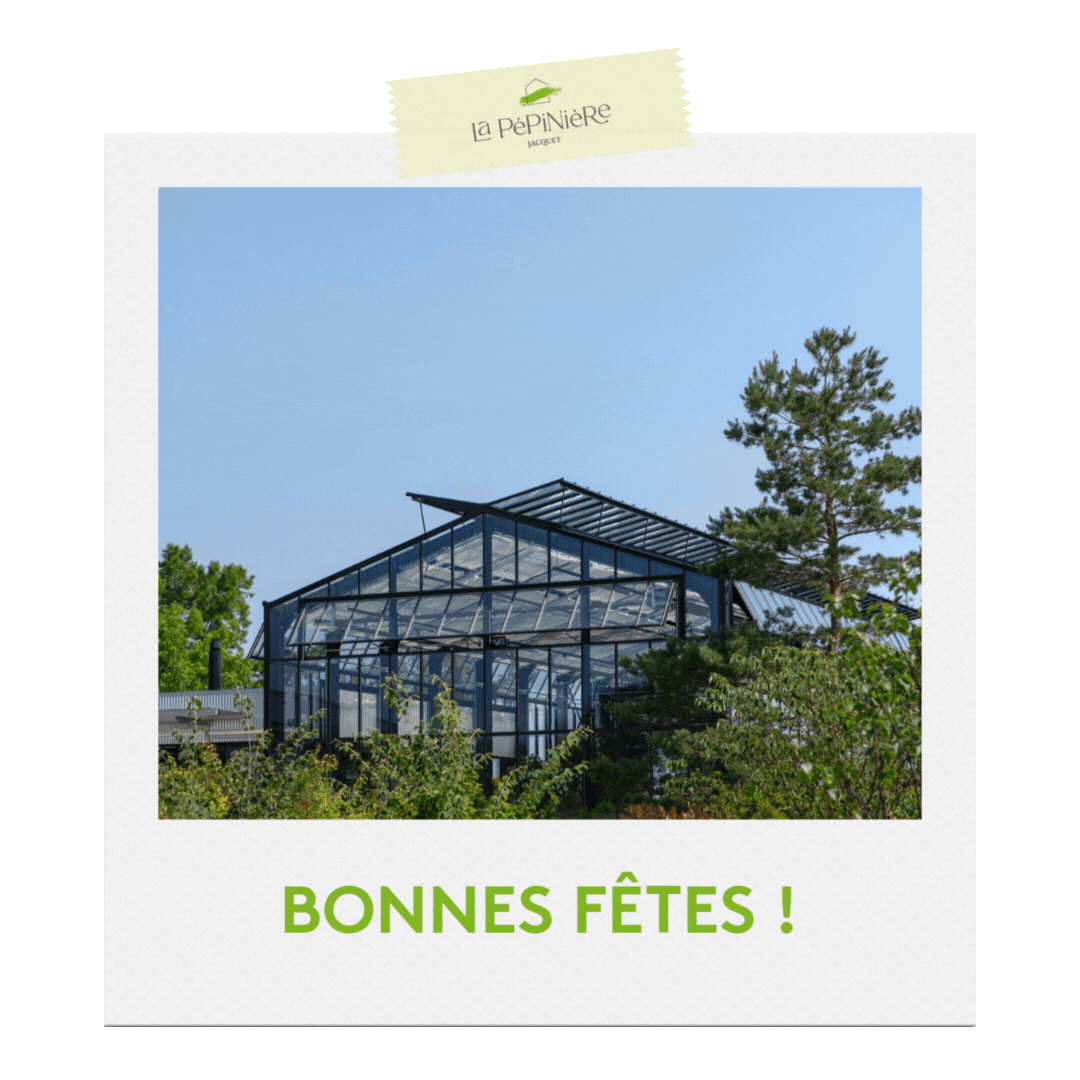 Bonnes fêtes 2025