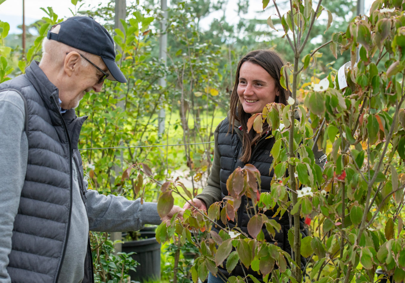 Découvertes horticoles 2025
