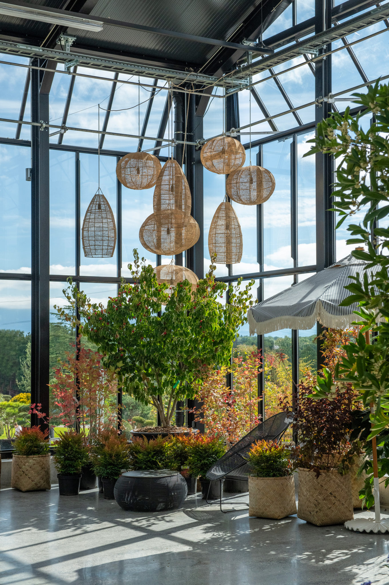 Découvertes horticoles 2025