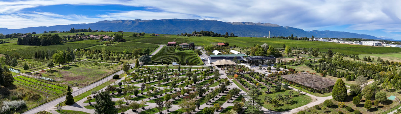 La pépiniere Jacquet vue aérienne 2025