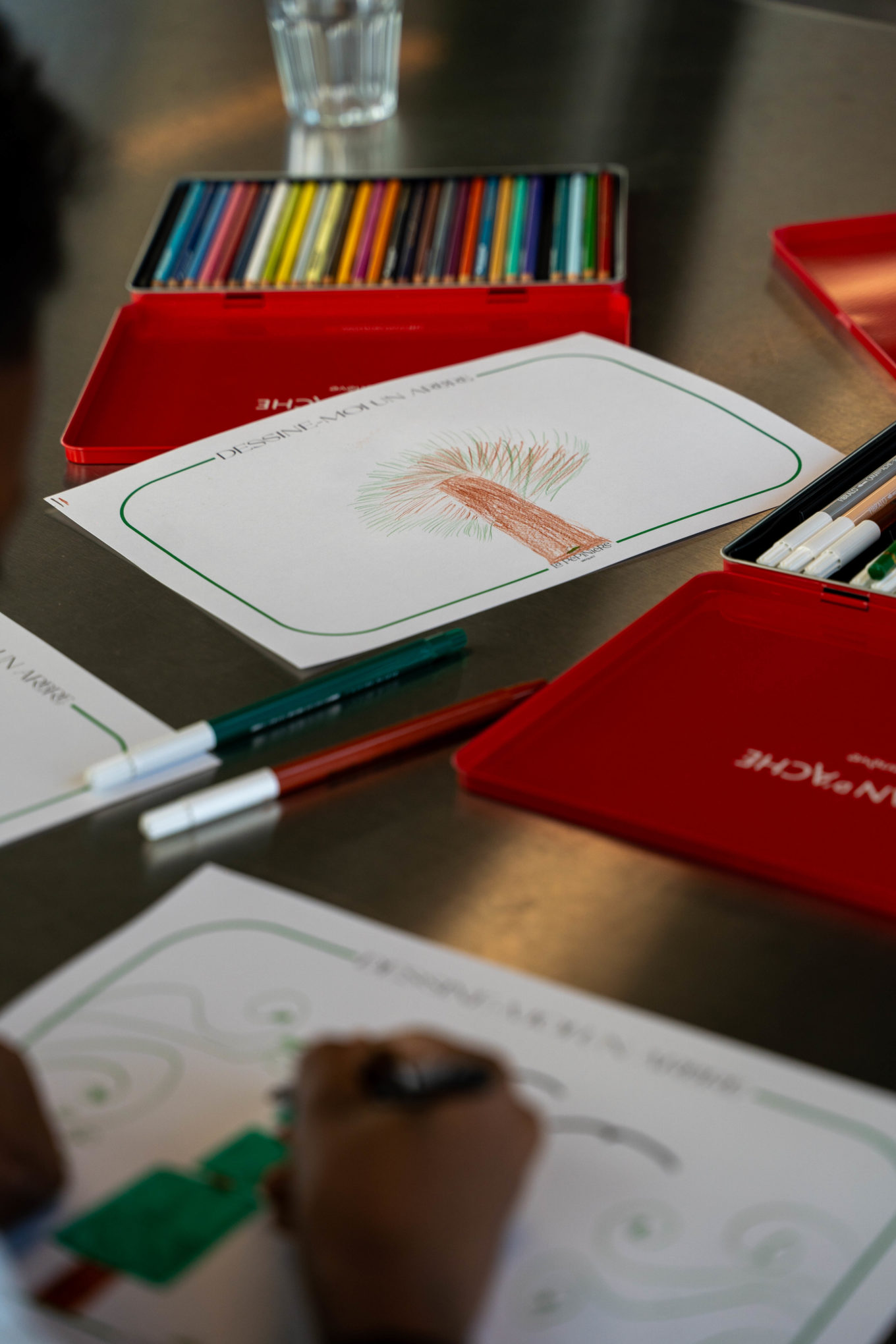 Visite d’élèves à la Pépinière Jacquet – découverte du monde végétal