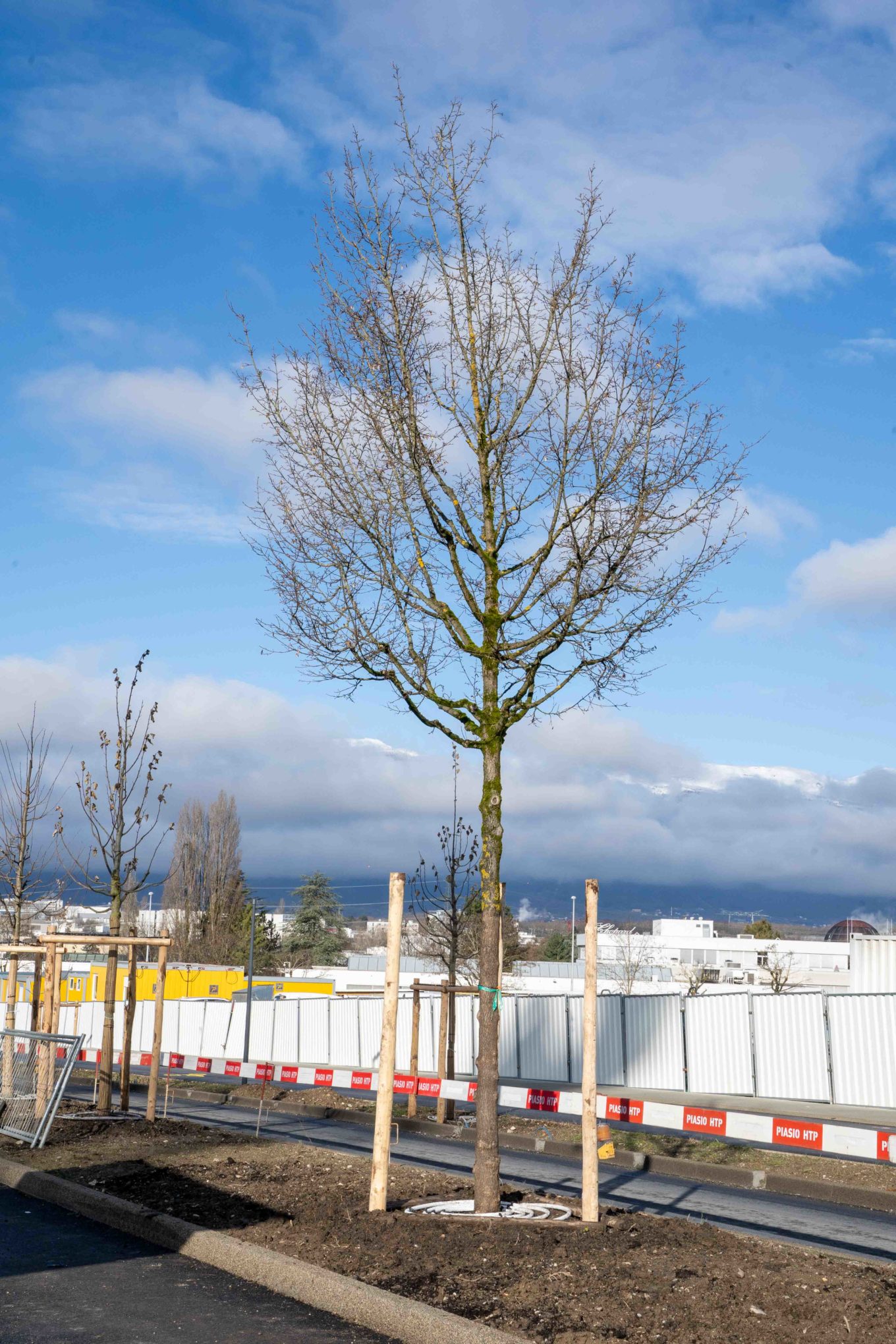 BHNS Meyrin 29.01.2026_