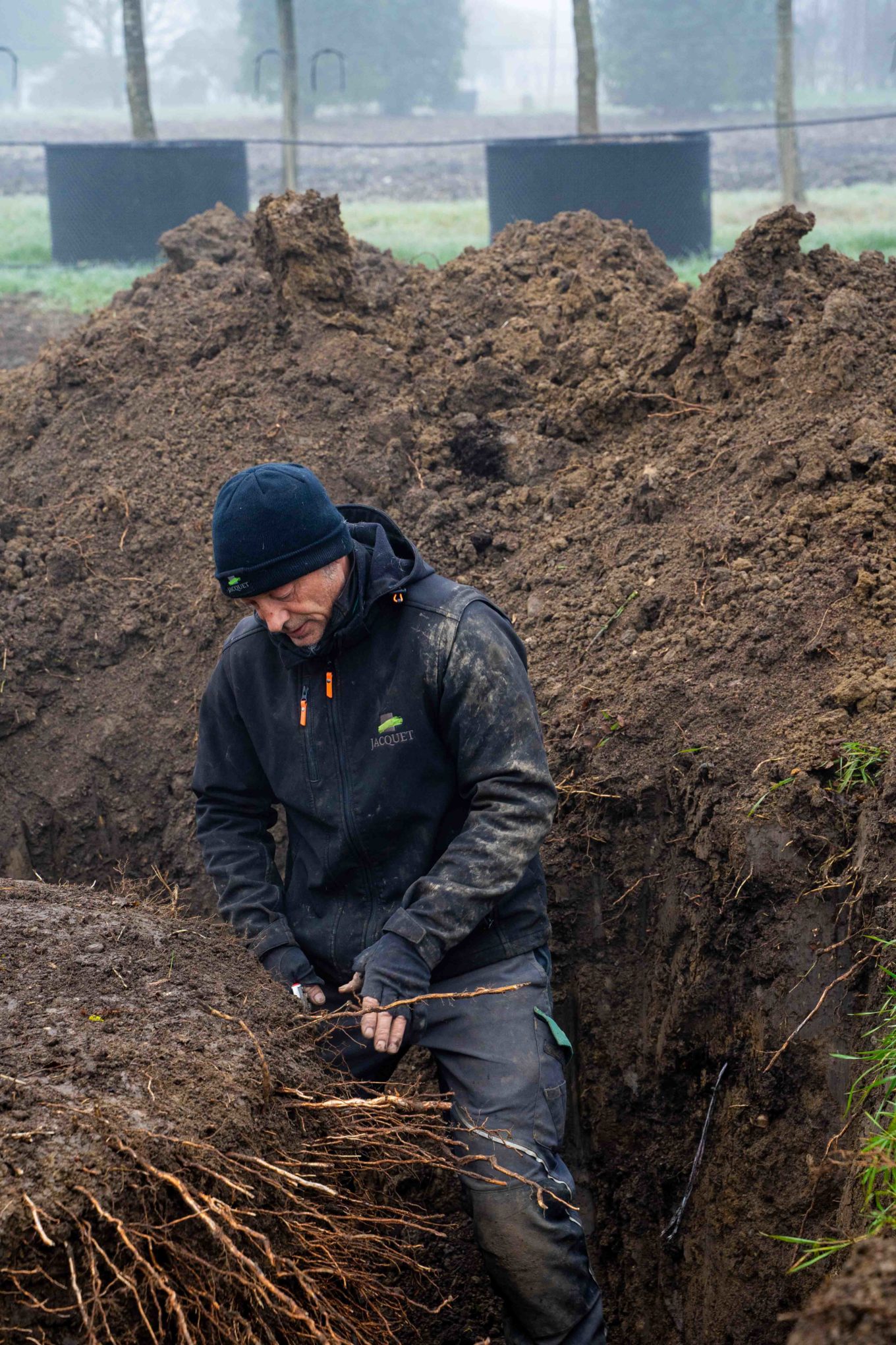 Pepiniere - Arrachage Janvier 26