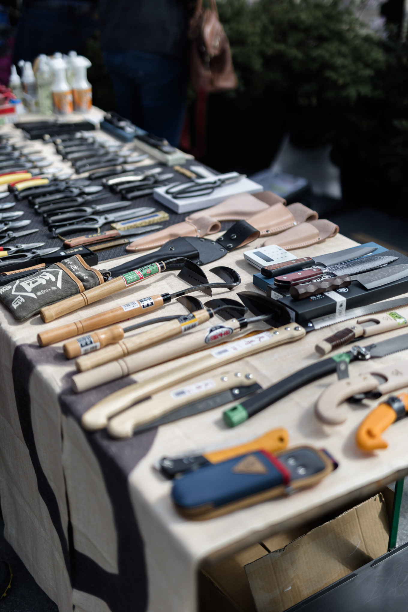 Journées des plantes 2025