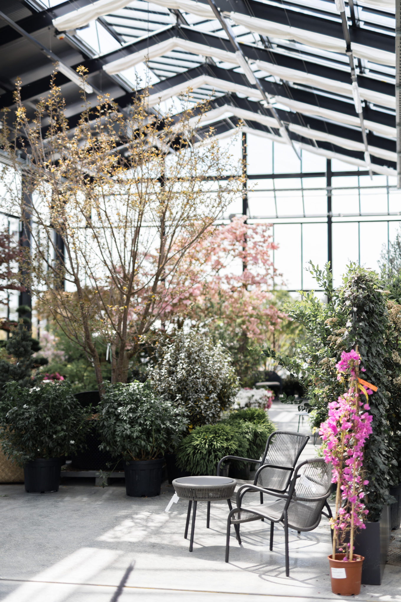 Journées des plantes 2025