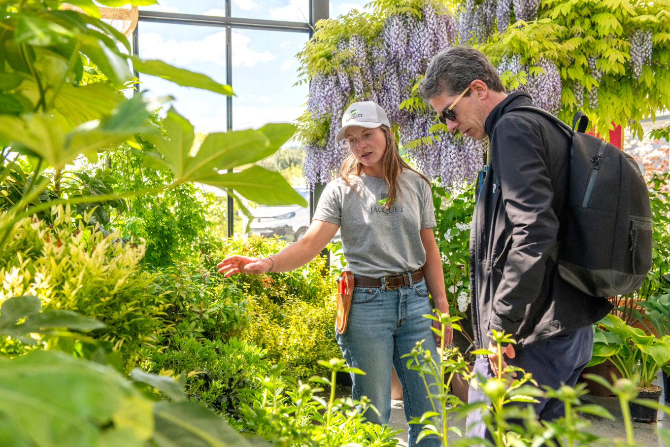 Journées des plantes 2026