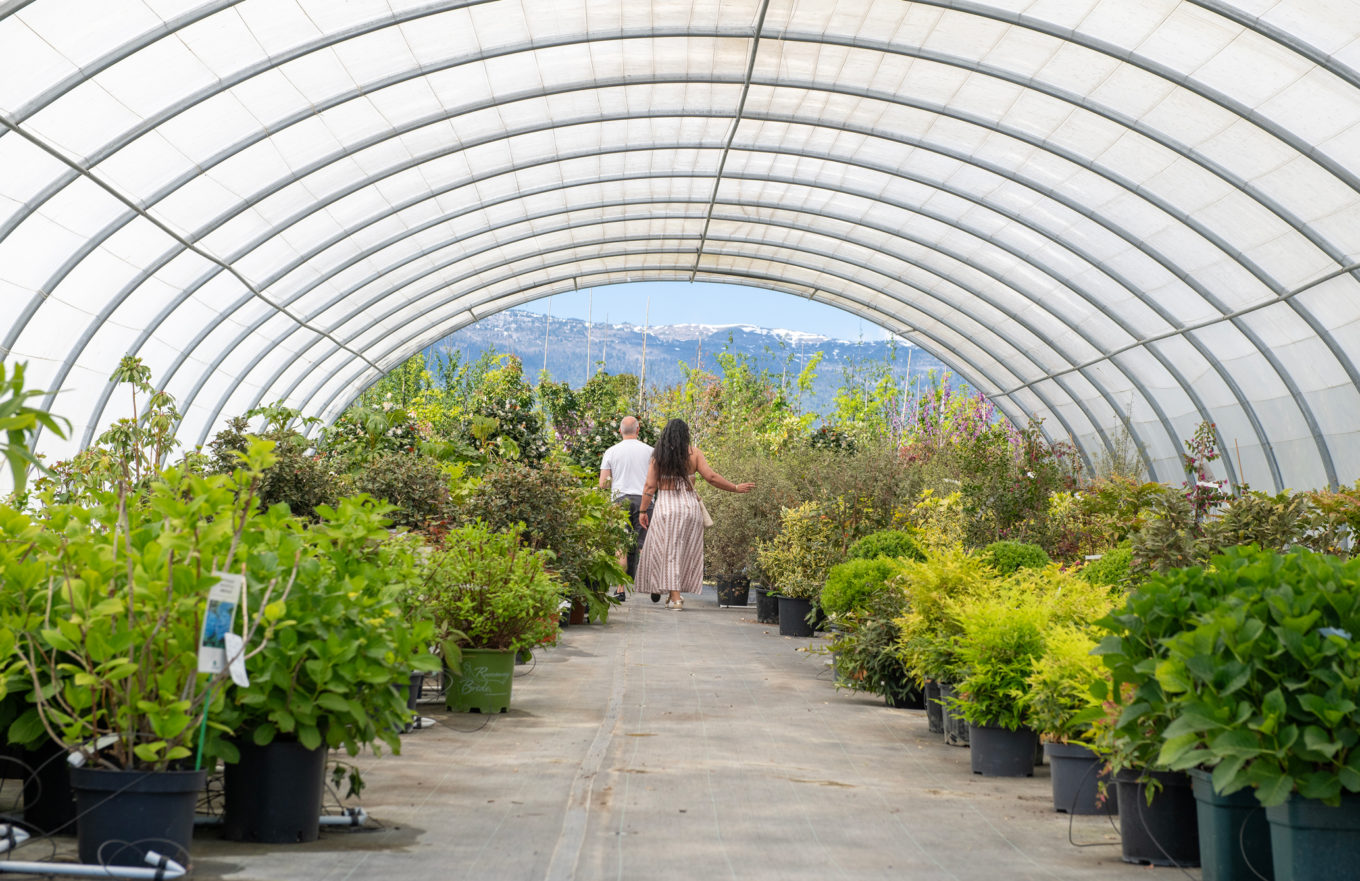 Journées des plantes 2026