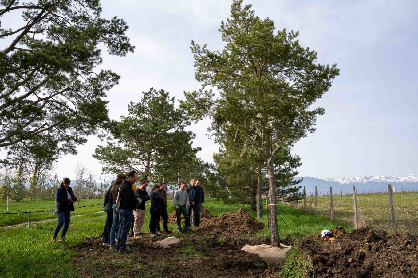 journée horticulture biologique Suisse romande