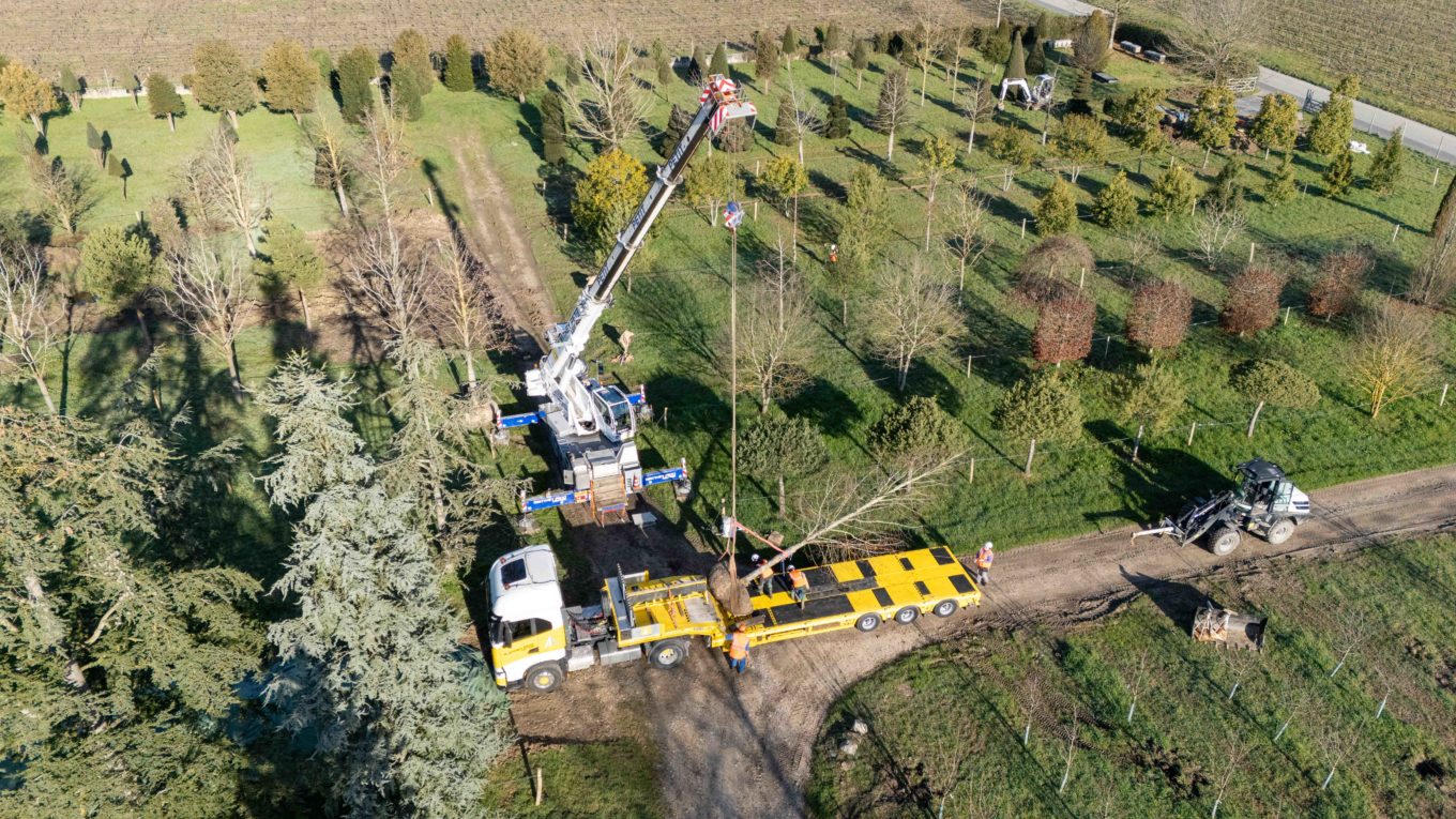 La Pepiniere Jacquet - Arrachage et chargement client privé