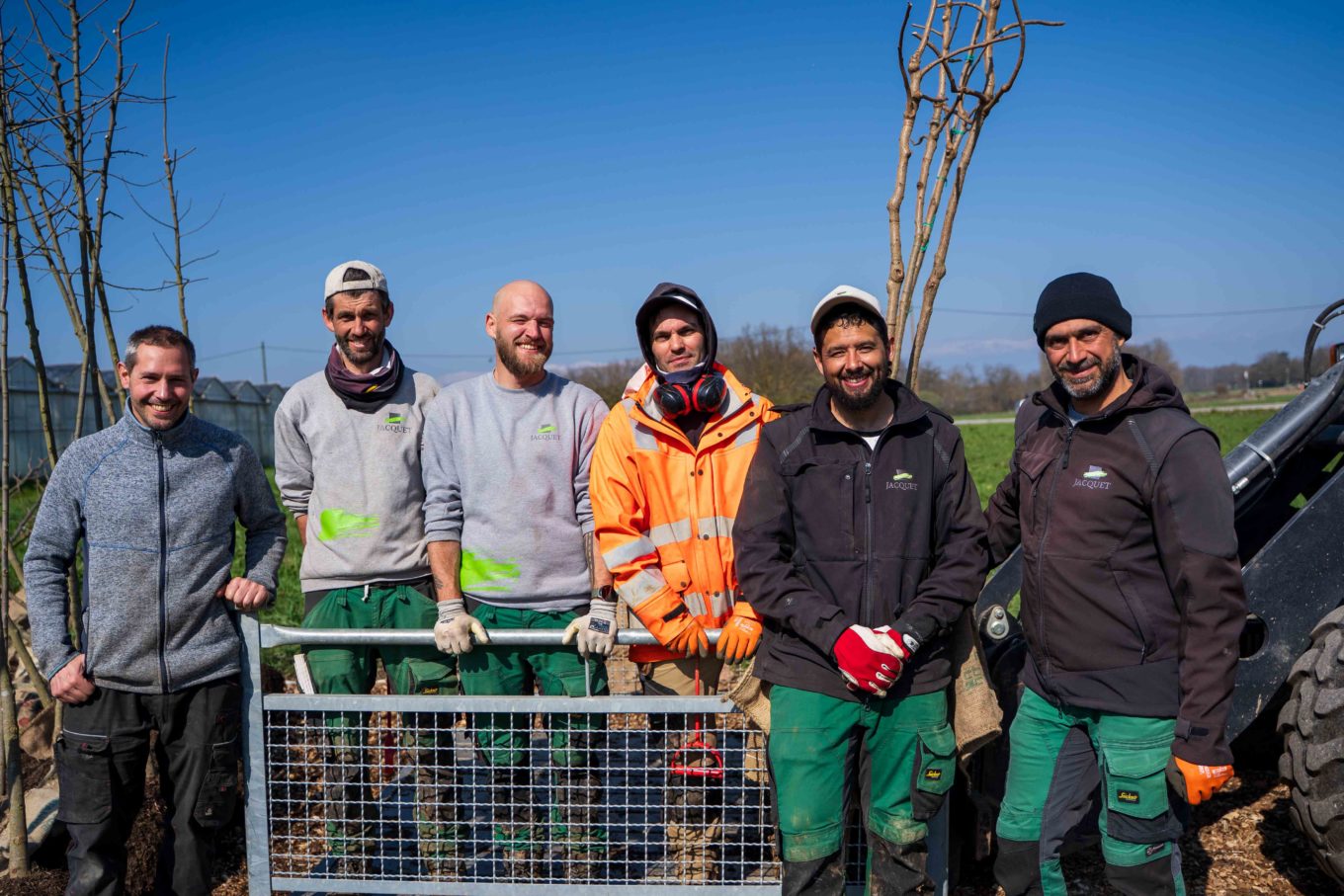 plantation arbres Troinex Genève 2